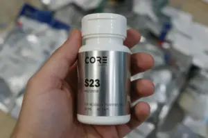 s23-mastorine
